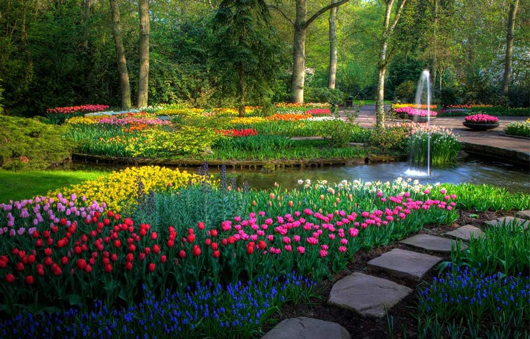 Mejora la calidad del aire y reduce CO₂ con áreas verdes bien diseñadas