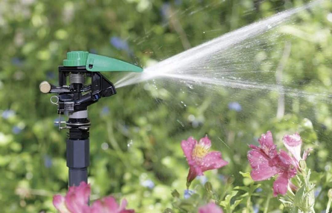 Ahorro en agua y energía usando plantas nativas y sistemas inteligentes