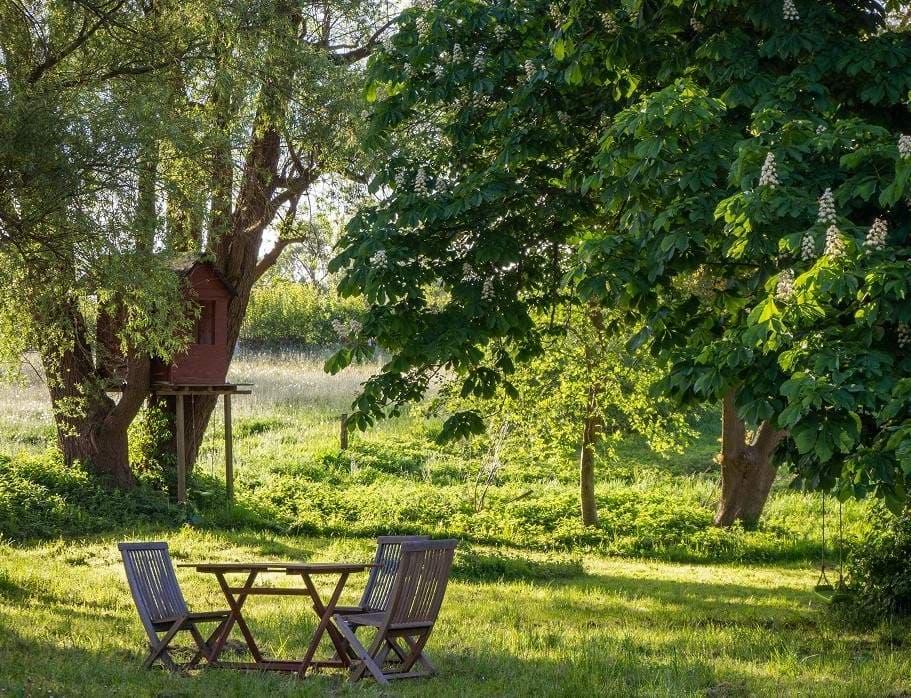 Reducción del calor urbano mediante zonificación vegetal y densidad verde