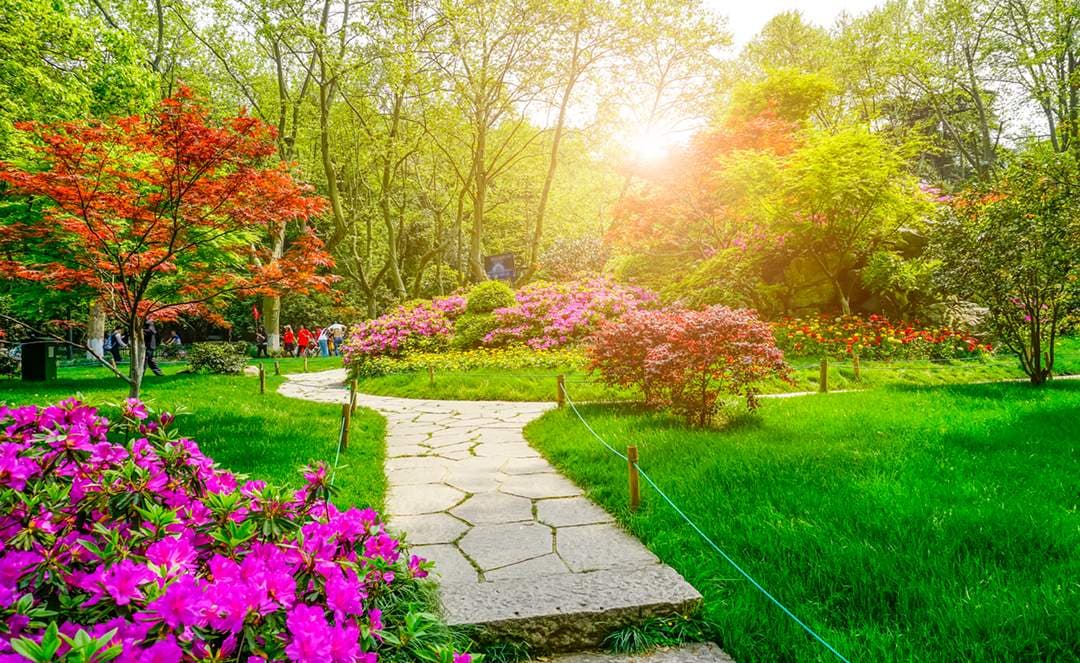 Estética profesional que mejora imagen personal, corporativa o inmobiliaria