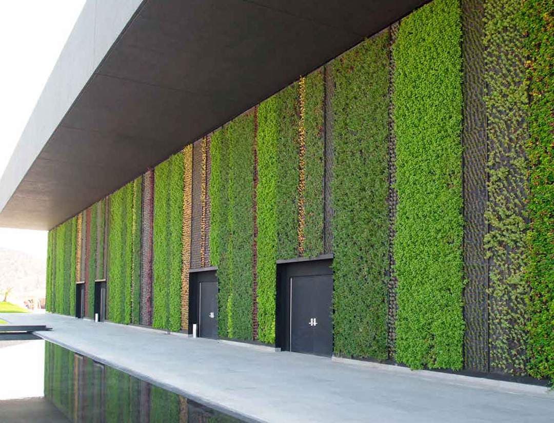 Muros verdes y jardines verticales que optimizan el espacio